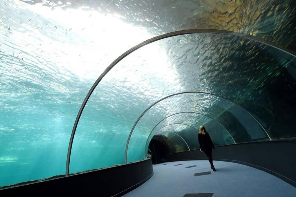 La Perle Marine :Boulogne Sur Mer Zewnętrze zdjęcie